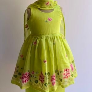 PASTEL GREEN MULCHANDERI GARARA EMBROIDERY COLLECTION