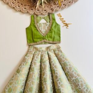 BANARASI SILK PANAL CUT  SKIRT AND TOP